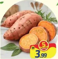 Potato Sweet