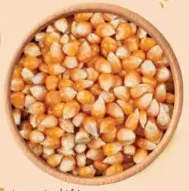 بفشار أمريكي