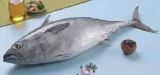 Tuna Whole