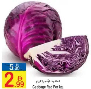 Red Cabbage