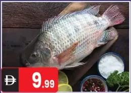 Fish-Tilapia