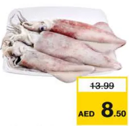 Squid Fresh Big