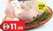 Fresh Chicken