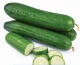 Cucumber