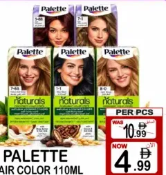 Palette Hair Color