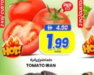 طماطم ايراني