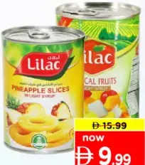 Lilac Pineapple/Tropical Fruits