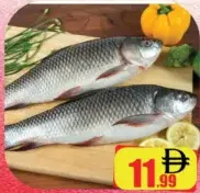 Fresh Rohu Fish