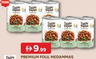 Farm Fresh Premium Foul Medammas