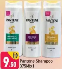 Pantene Shampoo