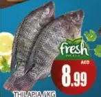 Thilapia