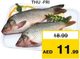 Katla Fish