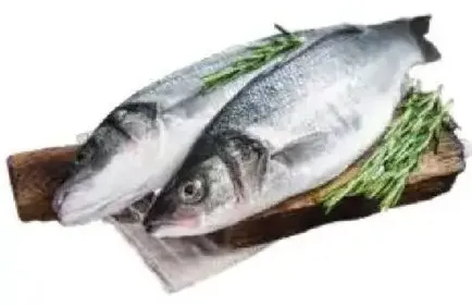 Sea Bass (Turkey/Tunisia)