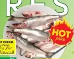 Sardine Fresh