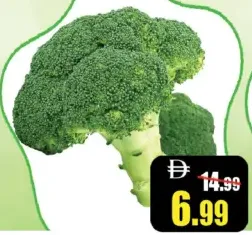 Brucoli