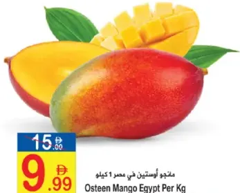 Osteen Mango Egypt