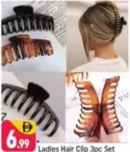 Ladies Hair Clip Set