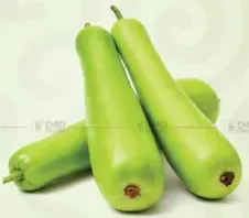 قرع طويل