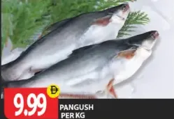 pangush