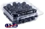 Blueberry Box