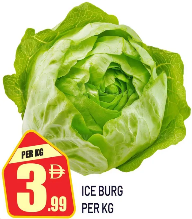 Iceburg
