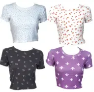 Ladies Croo Top Assorted