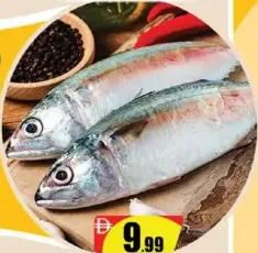 Mackerel Fish