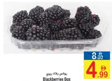 بوكس بلاك بيري