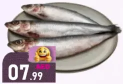 سردين