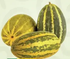 بصل فيلاري