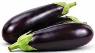 باذنجان أردني