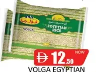 Volga أرز مصري