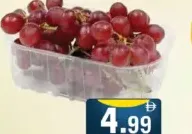 Grapes Red