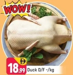 Duck D/F