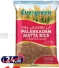Evergreen أرز بالاكادان ماتا
