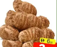 جذر قلقاس صغير