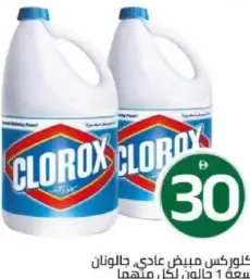Clorox كلوركس العادي