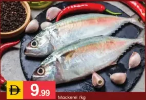 Mackerel