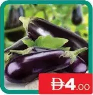 Egg Plant Long Rafiya