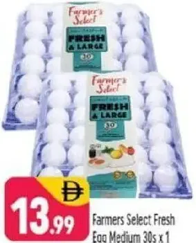Farmers Select بيض أبيض