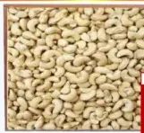 Cashew