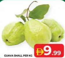 Guava Small