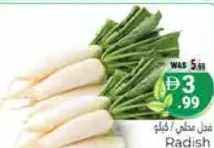 Radish Local
