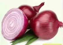 Onion