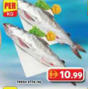 etta طازجة