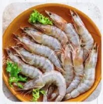 Prawns