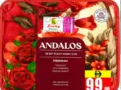 Andalos Blanket 2Ply