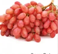 Grapes Red S/Less Lebanon
