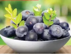 Blueberry Zimbabwe