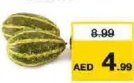 Cucumber Golden